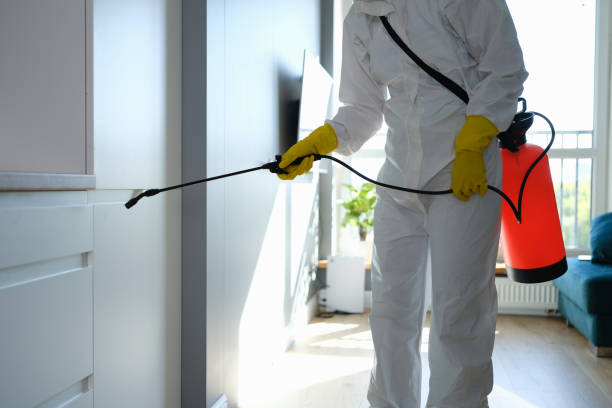 Best Insurance-Related Mold Remediation in Shelbyville, IN